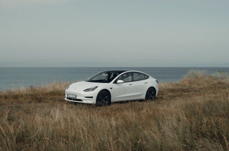 OX drive car sharing with tesla