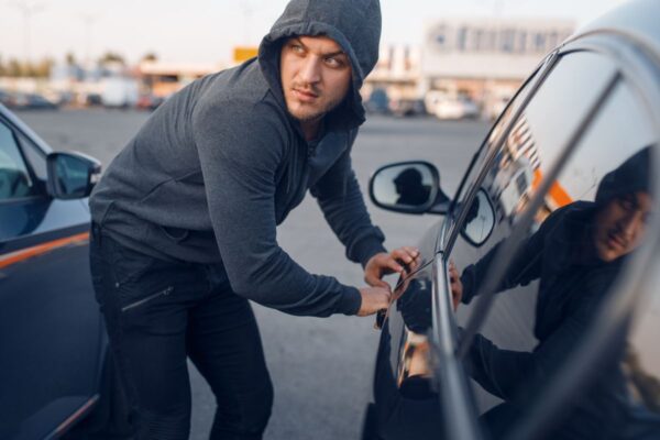 identify car theft with invers fleet guard